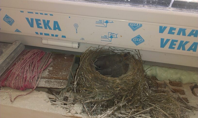 blog budowlany - mojabudowa.pl