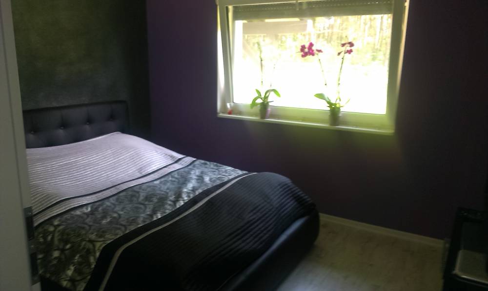 blog budowlany - mojabudowa.pl